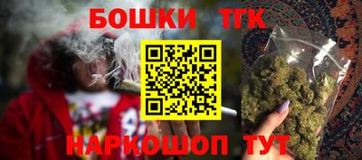 jwh Кингисепп