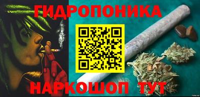 jwh Кингисепп
