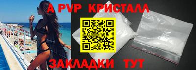 jwh Кингисепп
