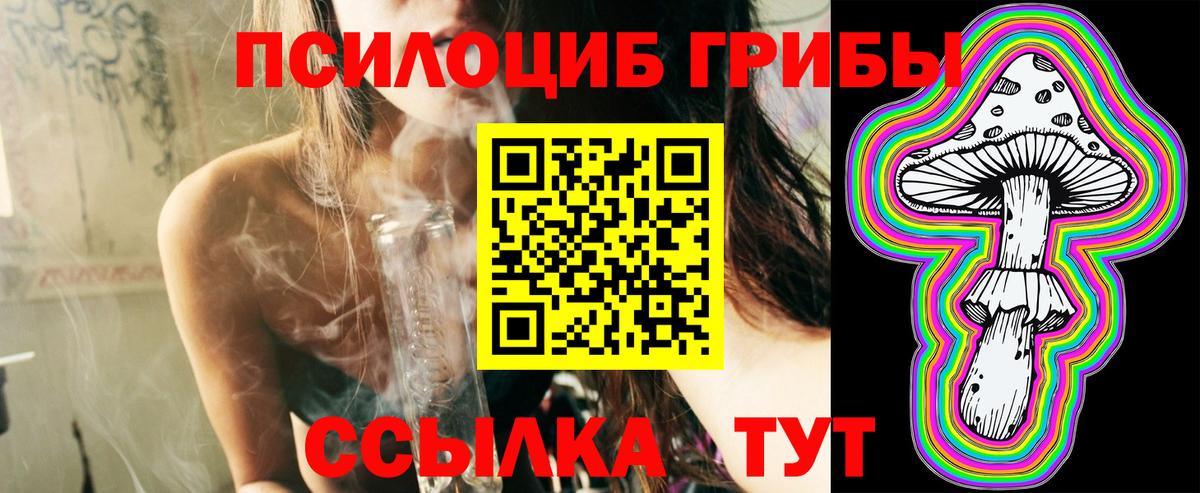Кострома  Псилоцибиновые грибы Psilocybine cubensis  Вход с VPN 